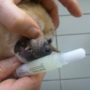 패밀리 덴탈 이미지