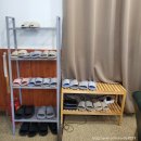 라니 플랜츠