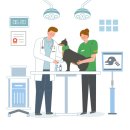 예 동물병원 이미지