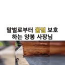 민첩성 만렙찍은 양봉업자 이미지