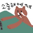 댕댕댕 애견유치원 이미지