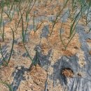 한별농장 이미지