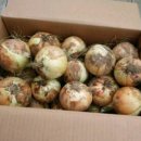 중대농장 이미지