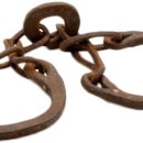 이민역사교실 행정사 이미지