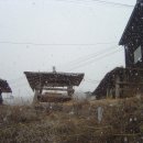 오리궁디 이미지