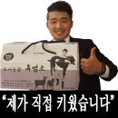 서산 국수, 서산 국수명가, 서산 국수명가 메뉴, 서산 잔치국수, 서산 비빔국수, 서산 점심, 서산맛집