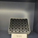 남송한의원 이미지