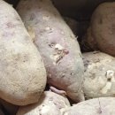 황토농장 이미지