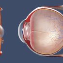 통도동물병원 이미지