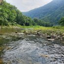 다락방매점 | [충북 여행] 단양 선암계곡 품은 소선암자연휴양림 예약 및 1박 숙박 후기