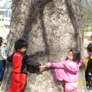 호저초등학교 병설유치원 이미지