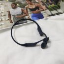 액티브라이프(ActiveLife) | 청력을 보호하는 애프터샥 골전도 블루투스 이어폰 * 에어로펙스 AS800 사용후기