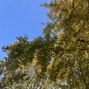 경희유진한의원 | [안국역 카페] 봄 여름 가을 겨울, 사계절 느끼기 좋은 카페 “ 텅”