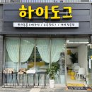 하이도그 이미지