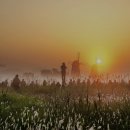 소래습지생태공원 이미지