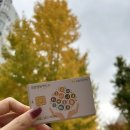 성일약국 | 팜스슈퍼헴철 구입처 및 가격 | 14주 임산부 액상철분제, 치약 추천
