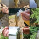 동항소류지 이미지