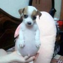 [4/15~4/21] 으악