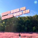 경남합천농축산업영농조합 | [공지] 핑크뮬리 댑싸리 마지막 올해 가을 꽃 이야기 Best16 추천 모음.Zip