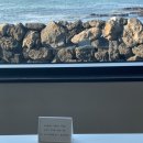 하늘고래블루 이미지