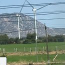 돌산가축 이미지