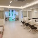 레푸스 정자점 이미지