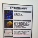 워시팡팡무인셀프빨래방 네이버블로그