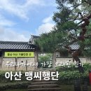 왕흥보건진료소 화장실 | 아산 맹씨행단 고불맹사성기념관 관람시간 여름방학 교육프로그램 주변카페