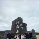 초록동행, 식물일기 | 제주도 25인승 콤비 버스 렌트 🚌 제주 부부 동반 단체여행 후기