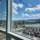 블루핀금탑공인중개사사무소 | 경산 남매지 블루핀임당제니스 오피스텔 임대월세 원룸형 미투형 투룸형 오피스텔구하기 블루핀금탑부동산