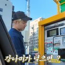 사진동네 뉴스엔
