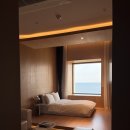 플럭스호텔 | 경주 프룩스플럭스호텔 세번째 방문 후기