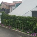 람하우스 이미지