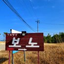 보노 | [양양 펜션추천/동호해변 오션뷰] 강원도 양양 애견동반펜션 내돈내산 '보노펜션' 후기!!!