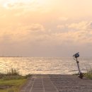 월정포인트 이미지