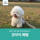 강한우리동물병원 이미지