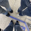 케쿠스 | 호다닥 뒤늦게 기록한 5월 일상