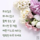 예쁜그림 ㅡ 화요일 인사말 이미지 이미지