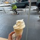 🇦🇺호주 워홀[D+38] 멜버른 시티 백팩커스, 멜버른 브이라인 예매, 호주운전면허증, 화이트카드 실물