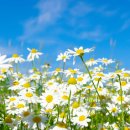 봄요양병원 이미지