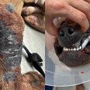 유영철 농장 이미지