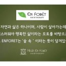 앙포레 이미지