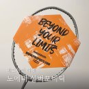 모비딕 | 배드민턴 라켓 추천 노에러 실버모비딕 NOERROR 후기