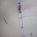 지장로11번길 이미지