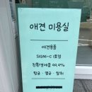 멍블리즈 네이버블로그