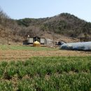 유가솜씨 이미지