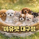 도그플러스 동물병원(미유펫 대구점) 네이버블로그