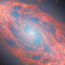 CW-1418-01 이미지