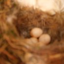 자연과사람들 이미지