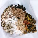 장백한의원 이미지